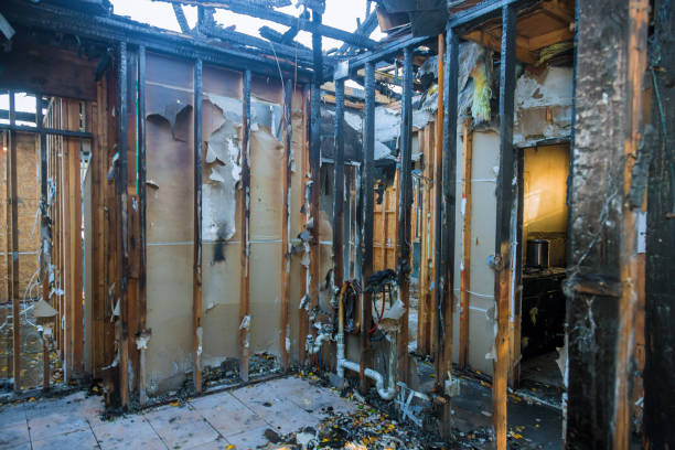 Professional Fire Damage Removal technician working in Cleveland, FL